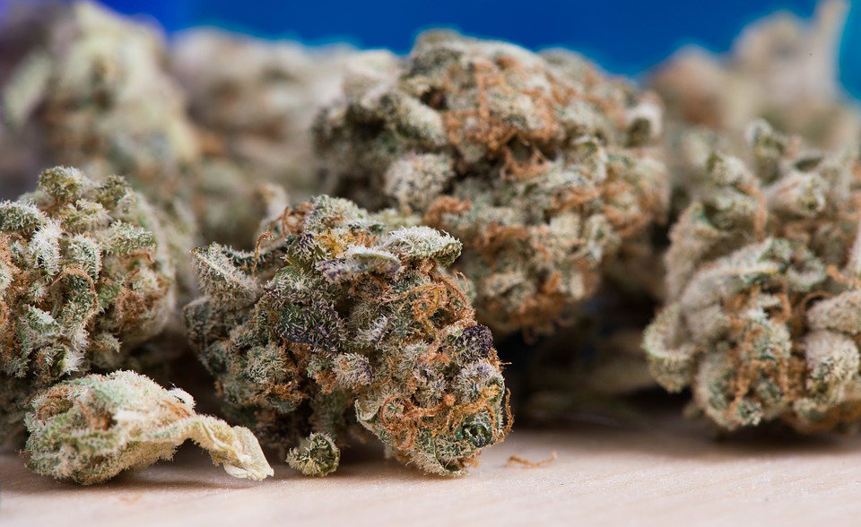 Capire quando i giovani fanno uso di Marijuana article-post