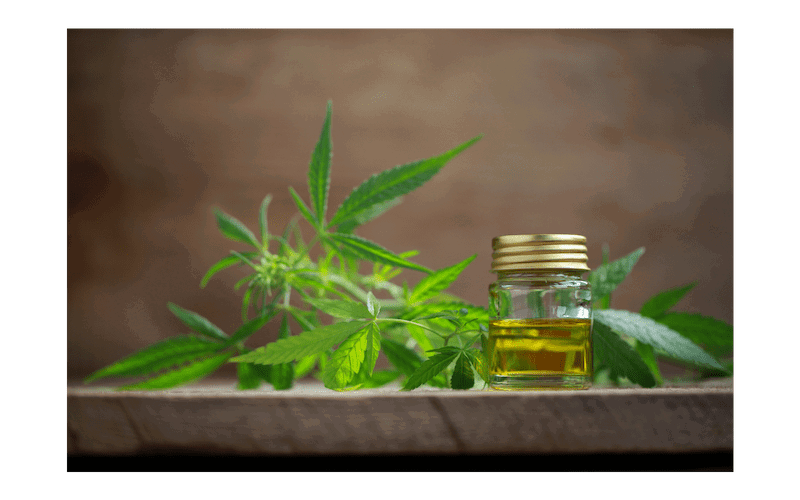 La Canapa e il CBD article-post