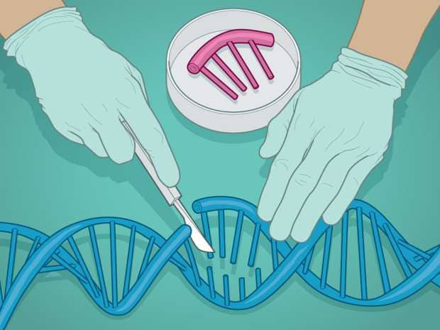 Modificazioni del DNA umano, una seconda gravidanza è stata annunciata article-post