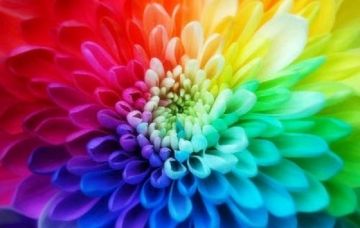 La cromoterapia: un mondo di colori article-post