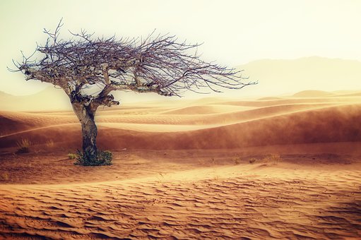 Cambiamento climatico: tempo fino al 2030 article-post