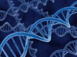 Individuare il cancro in 30 minuti: tecnologia del gruppo japan article-post