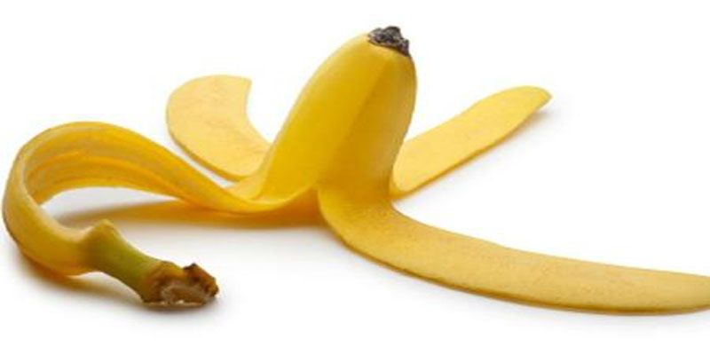 Con un colpo secco si evira stanco dalla castità sessuale article-post