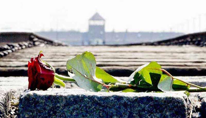 La Giornata della Memoria article-post