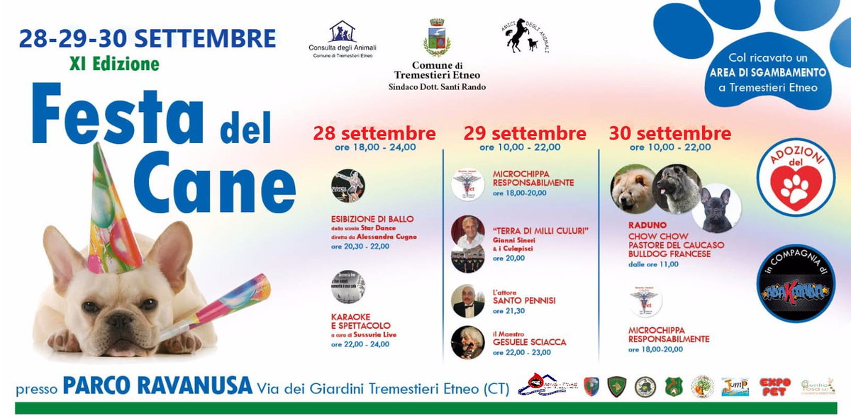 IX edizione della Festa del cane article-post