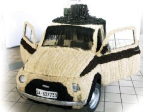 Fiat 500 ricoperta di capelli article-post