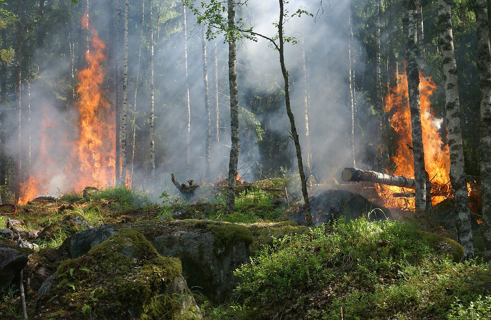 Gran Canaria, più di 8000 evacuati in seguito al grande incendio article-post
