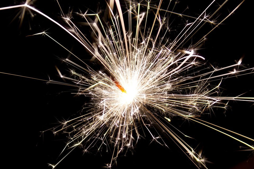 Botti di Capodanno: proteggiamo i nostri animali article-post