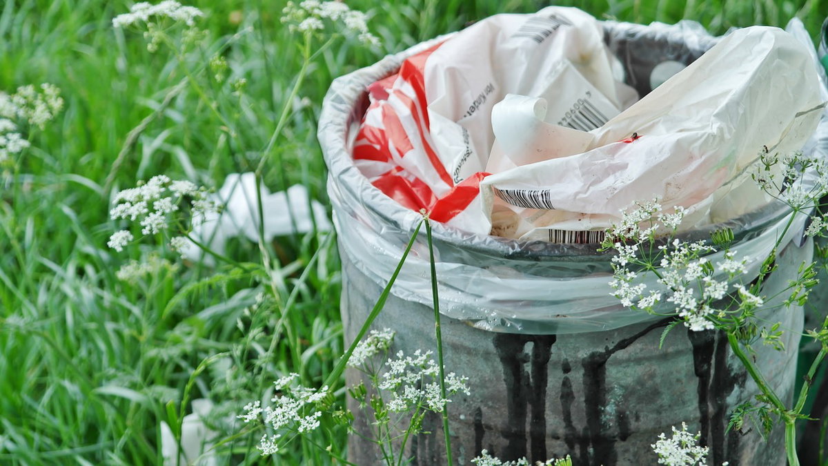 Arriva Plastic Tax, la tassa sulla plastica article-post