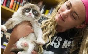 Grumpy Cat, la padrona diventa milionaria e lascia il lavoro per seguire il successo della sua micia article-post