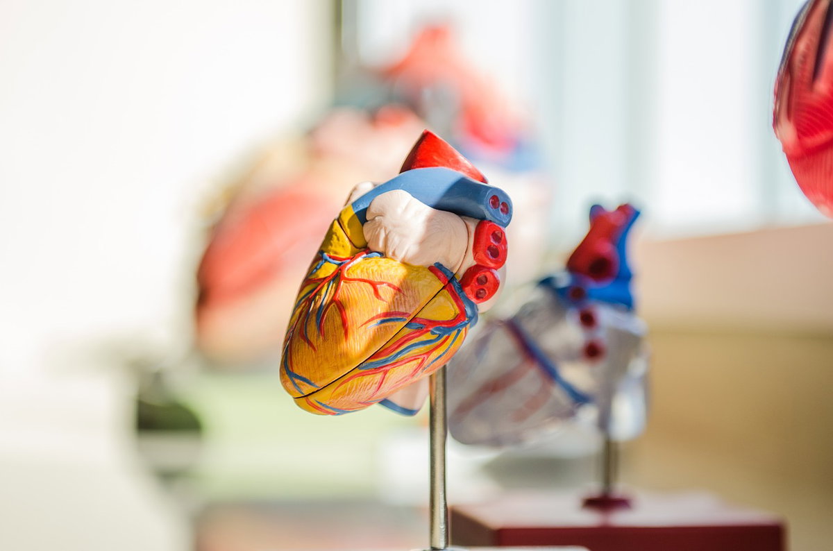 Apixaban anticoagulante associato ad un tasso inferiore di infarti ed embolie. Cosa dice uno studio article-post