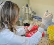 Tre pazienti deceduti per complicanze da Clostridium Difficile article-post