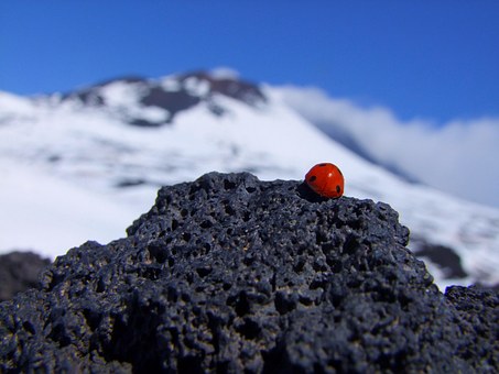 Ecco cosa sta succedendo all’Etna article-post