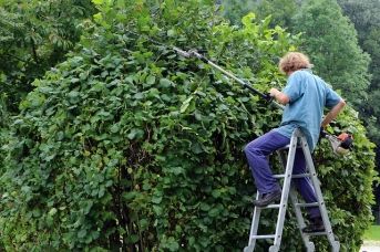 Selezione per Operatori Tecnici Specializzati – Giardinieri – ASL 5 Oristano article-post