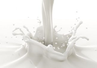 Ingerire troppe quantità di latte porta al cancro alla prostata e alle ovaie article-post