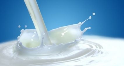 Latte in polvere per produrre formaggi: come finirà? article-post
