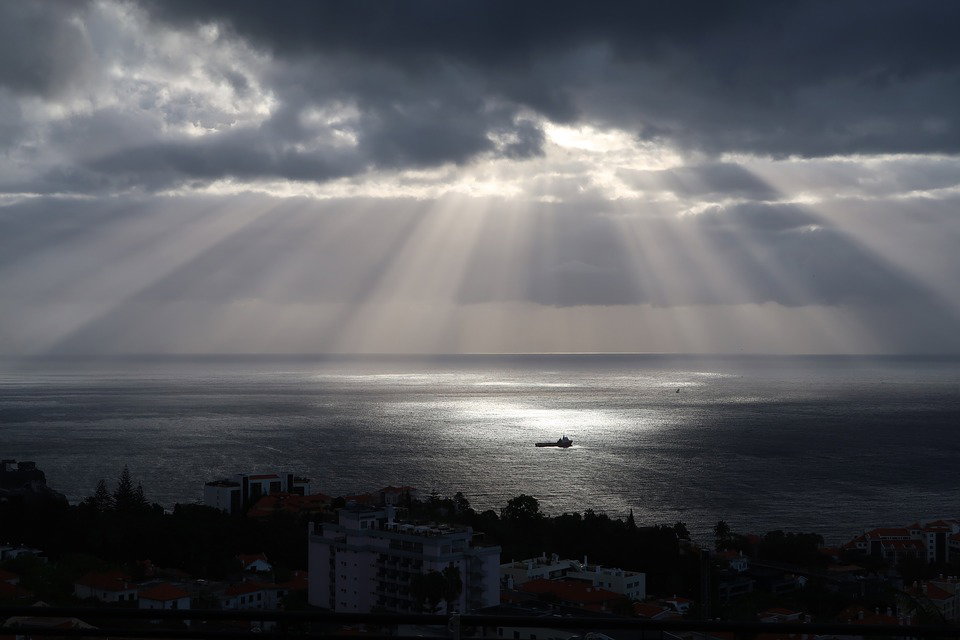 Madeira, precipita un bus turistico article-post