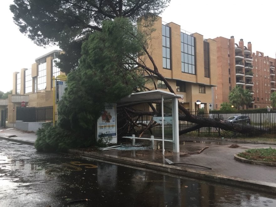 Forte maltempo a Roma; alberi caduti su un’auto article-post