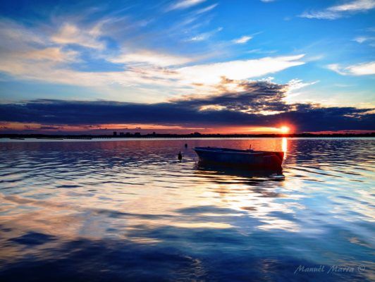 Taranto – Scoperta agghiacciante sul fondale del Mar Piccolo article-post