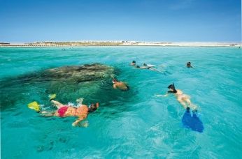 Le vacanze estive tra Marsa Alam e Sharm El Sheik article-post