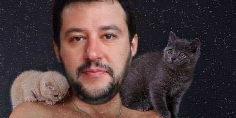 Matteo Salvini, la sua pagina Facebook invasa da foto da gatti article-post