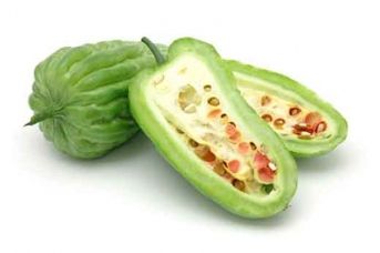 Il melone amaro: aiuto naturale per il cancro del pancreas e il tumore al seno article-post