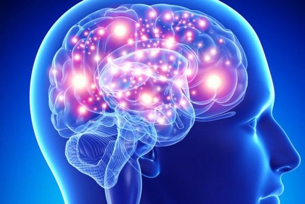 Gli alimenti che aiutano la memoria? Sono sette article-post