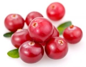 I mirtilli: frutti della salute article-post