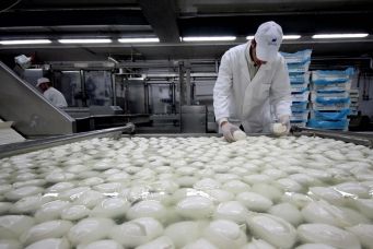 Mozzarelle prodotte senza l’uso del latte article-post
