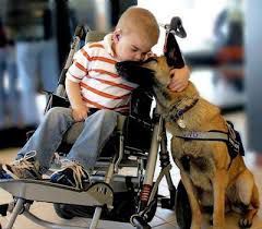 Cos’è la Pet Therapy? article-post