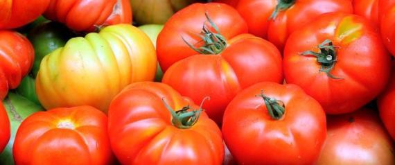 Concentrato di Pomodoro? Coldiretti lancia l’allarme article-post