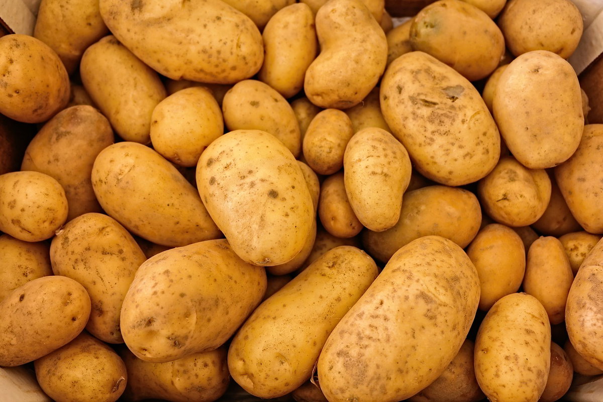 Le patate come sostituto dei gel di carboidrati article-post