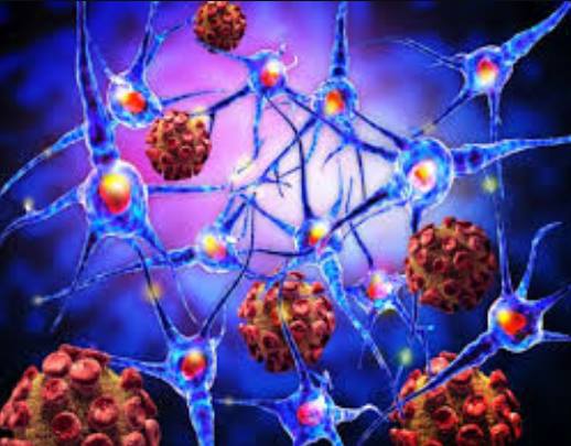 NUMEROSI I CASI DI MENINGITE IN TOSCANA article-post