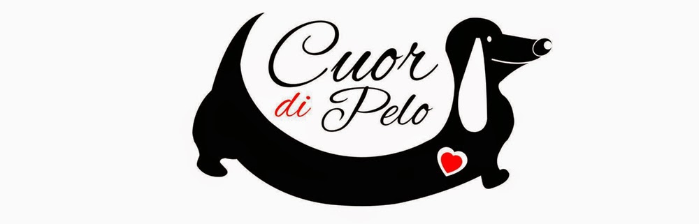 Associazione Cuor di Pelo intervista al fondatore Sandro Nigro article-post