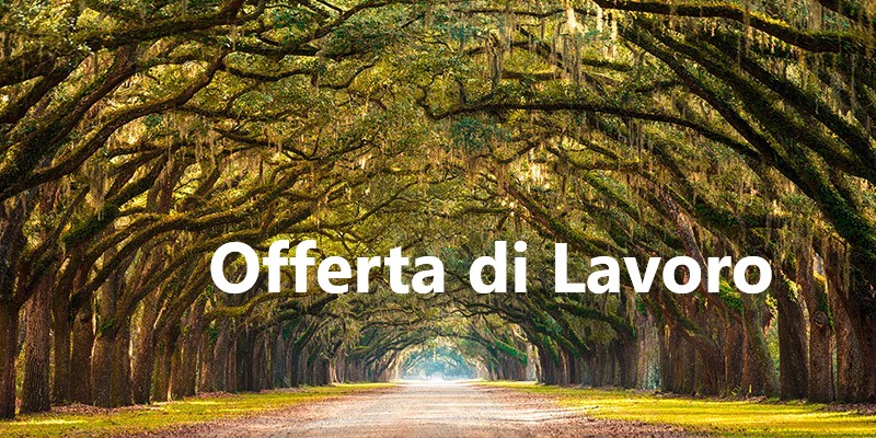 Lavoro: Autorizzazioni Integrate Ambientali article-post