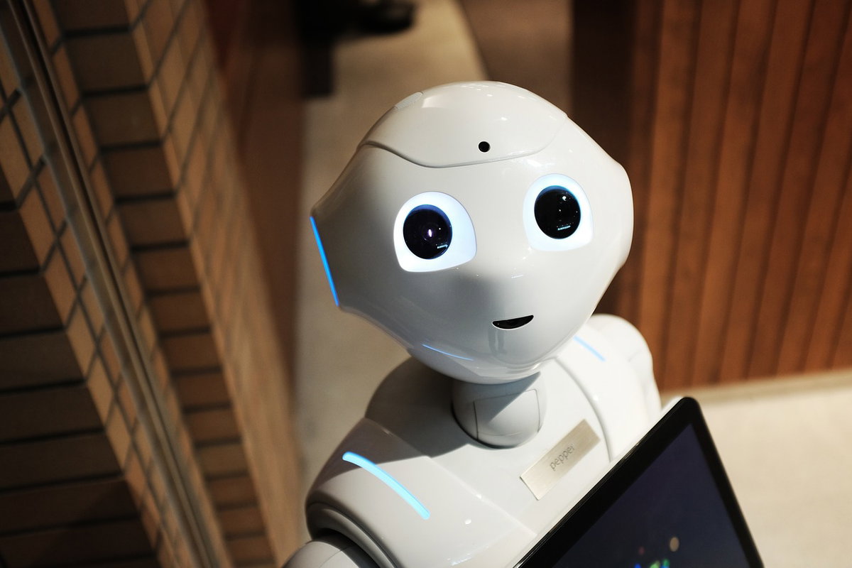 I Robot adesso sono in grado di coltivare la verdura article-post