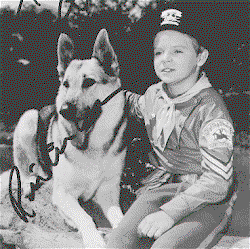 Rin – Tin – Tin, sessant’anni fa sbarcava in Italia il telefilm article-post