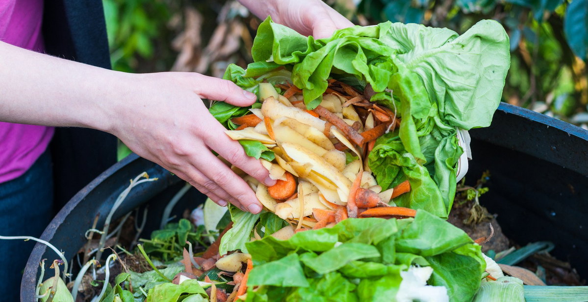 Spreco di cibo, i dati shock article-post