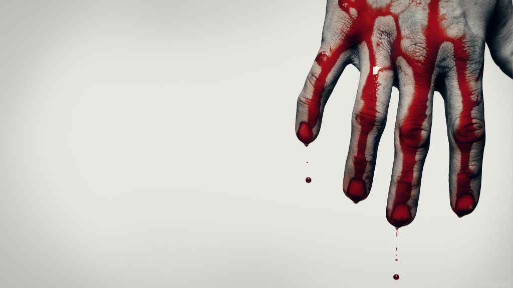 Strage nel Vercellese: donna morta e i suoi due genitori, preso l’assassino il nipote 25 enne article-post