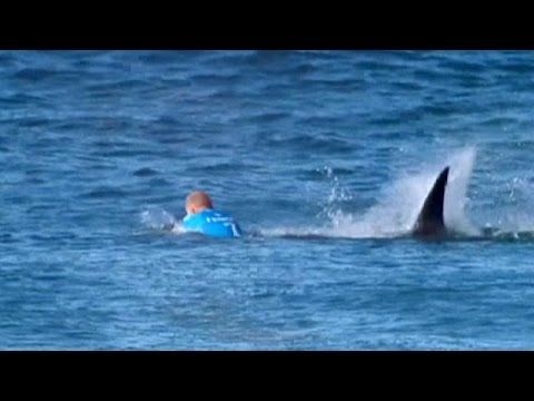 Sud Africa, campione di surf Mick Fanning respinge attacco di uno squalo – Video article-post