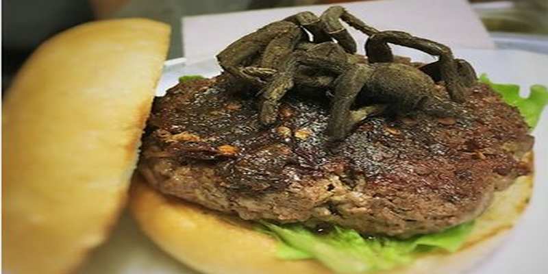 Invito a cena con tarantola article-post