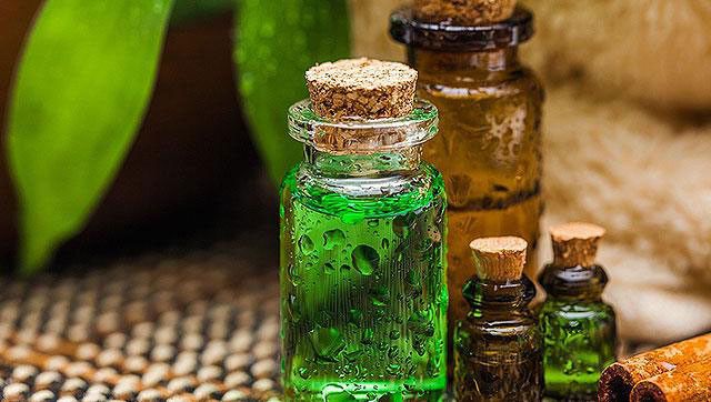 L’olio essenziale antimicotico e antibatterico: il tea tree oil article-post