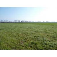 Ismea: terreni agricoli ed agevolazioni article-post
