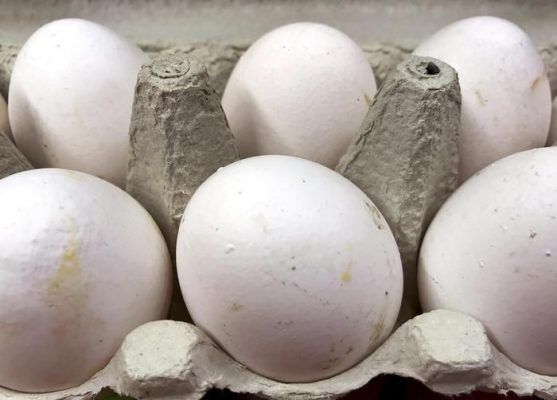 Puglia – Uova al Fipronil in Salento, controlli anche a Taranto article-post