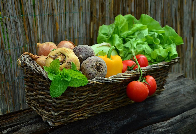 Coldiretti, Lollobrigida: Risorse strategiche per la sovranità alimentare article-post