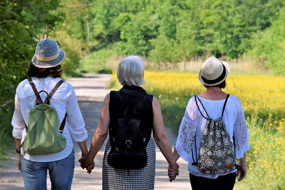 I fitoestrogeni, una nuova strategia anti-menopausa article-post