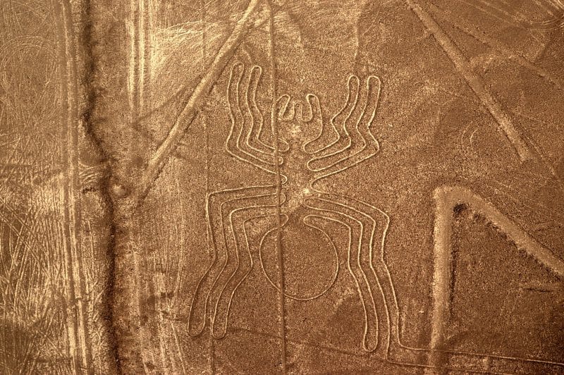 Linee di Nazca: il primo geoglifo scoperto da un’intelligenza artificiale article-post