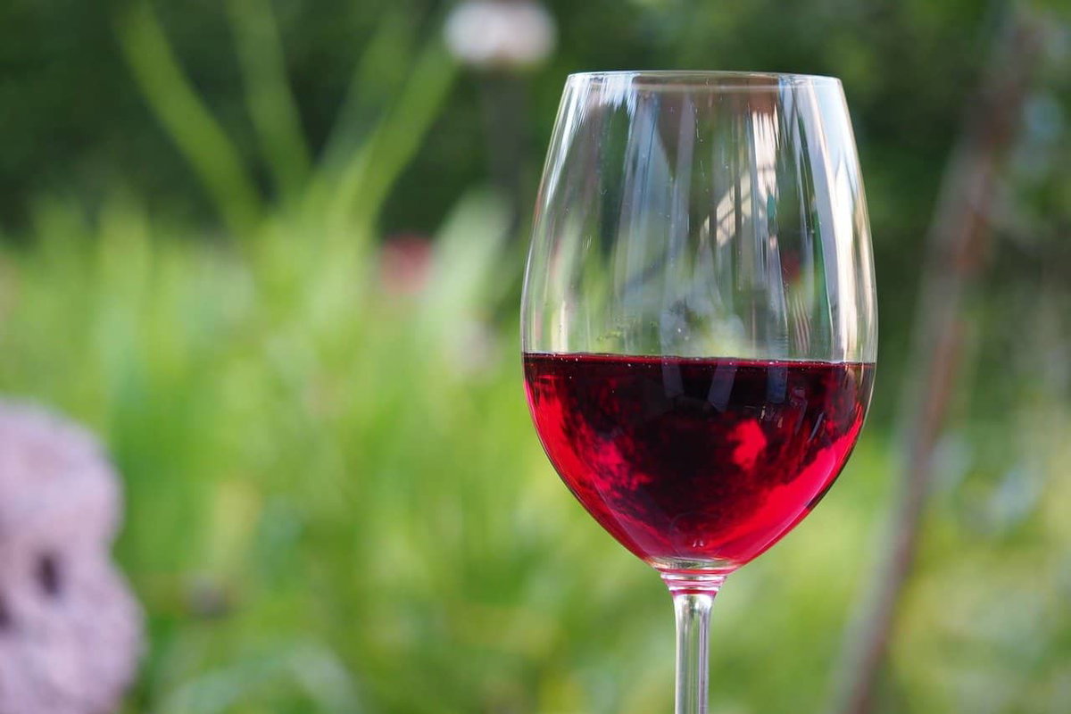 Un motivo per bere vino rosso, aiuta a bruciare i grassi article-post