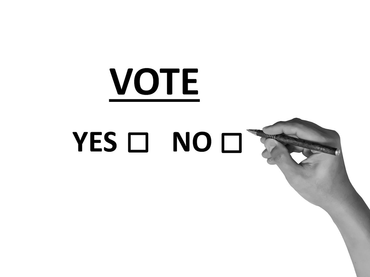 Taglio dei parlamentari: si blocca per andare al referendum article-post