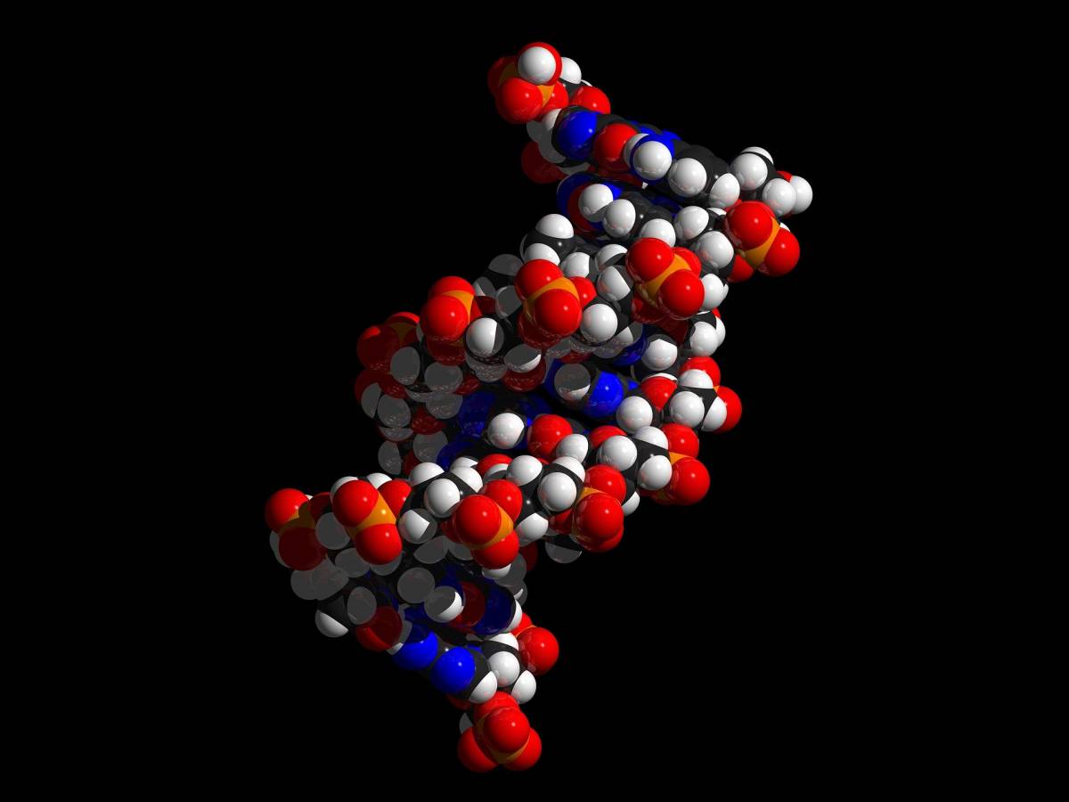 Scoperto il DNA del coronavirus article-post